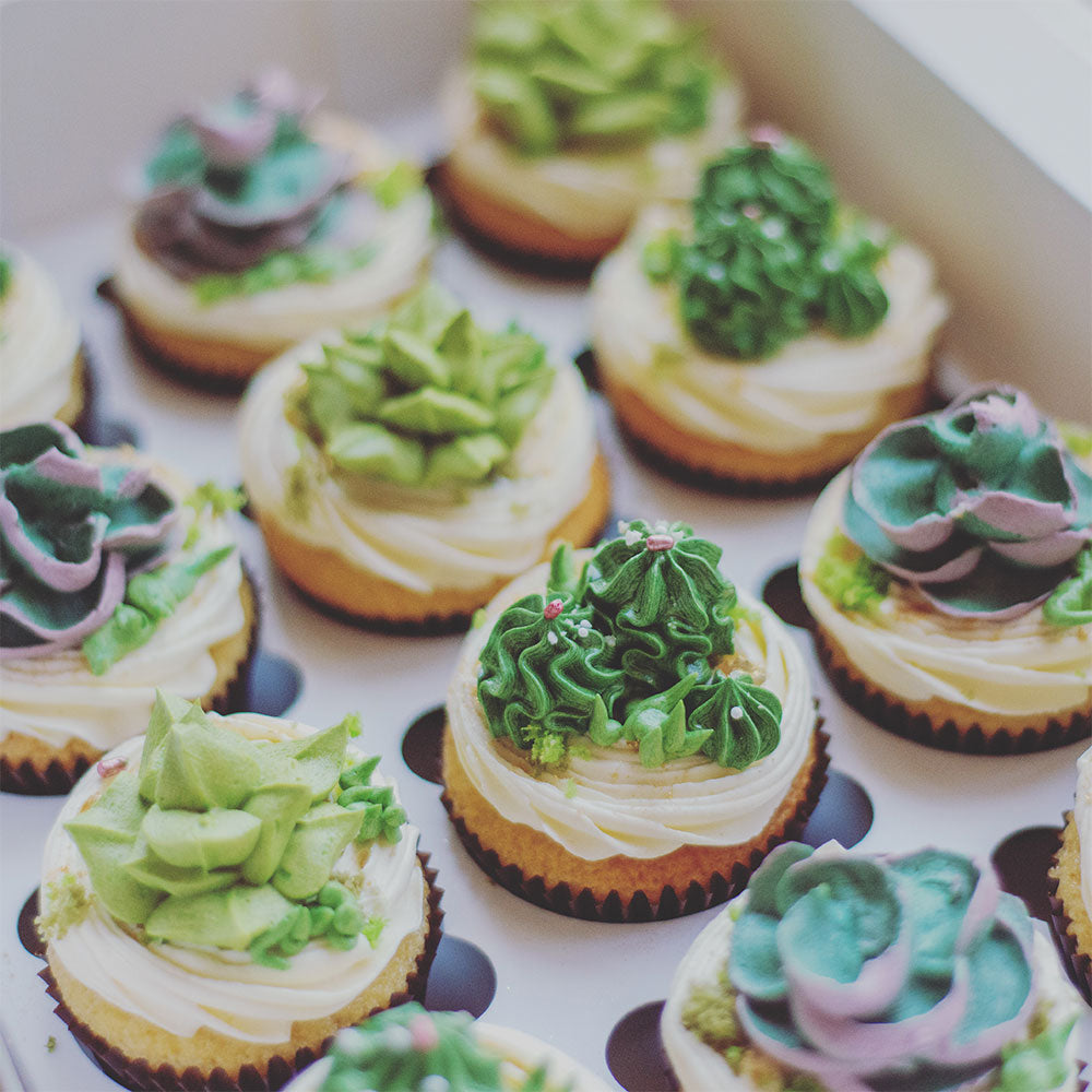 Buttercream Succulent Cupcakes